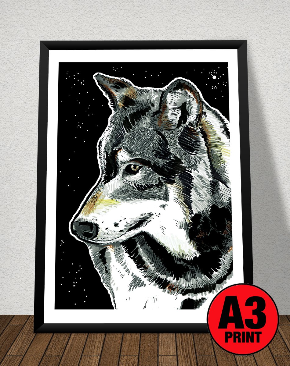 Image of Wolf At Night Art Print Signed A3 Size (16" x 12")