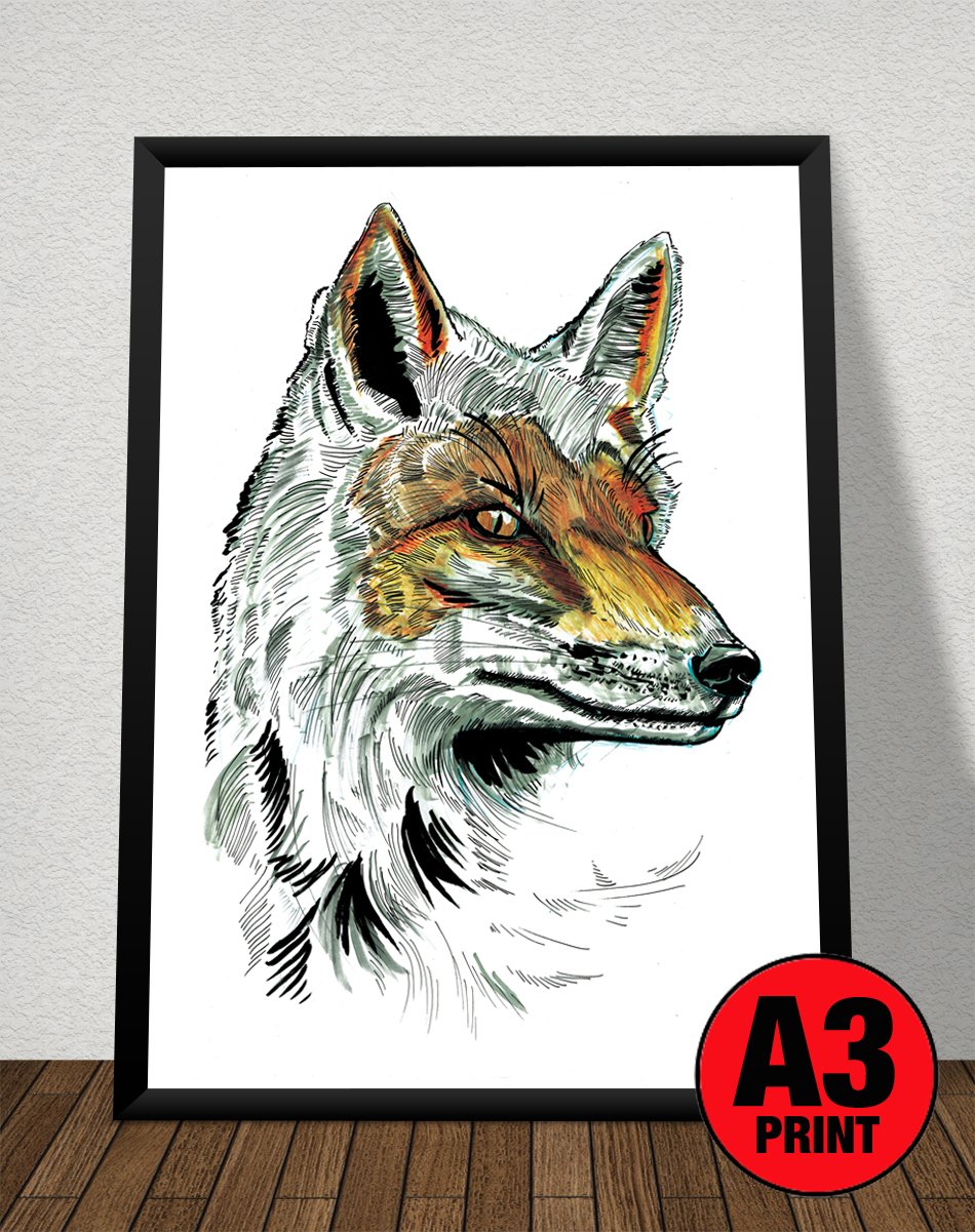 Image of Snow Fox Art Print Signed A3 Size (16" x 12")