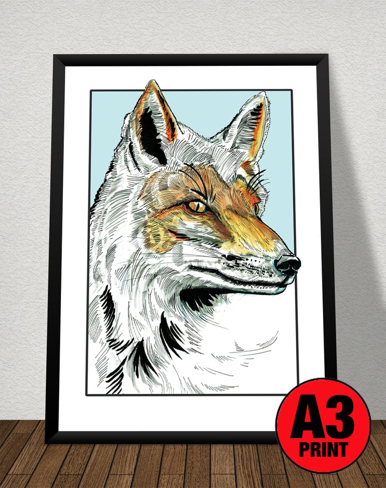 Image of Snow Fox Art Print Signed A3 Size (16" x 12")