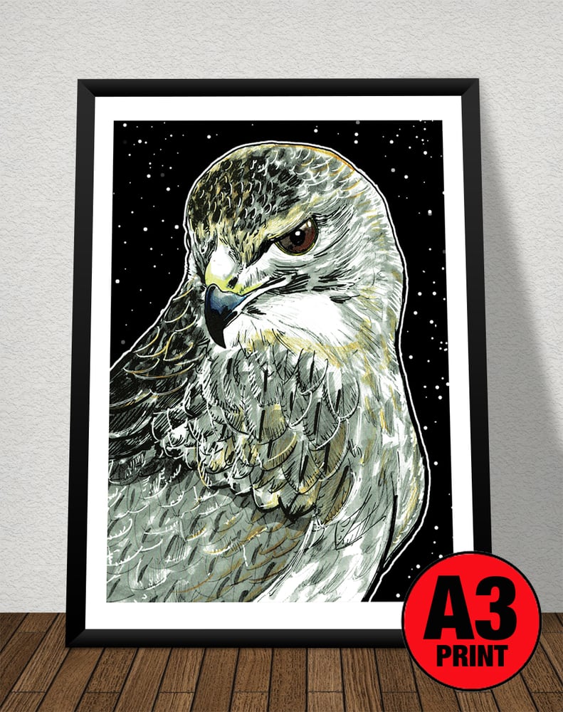 Image of Kestrel At Night Art Print Signed A3 Size (16" x 12")