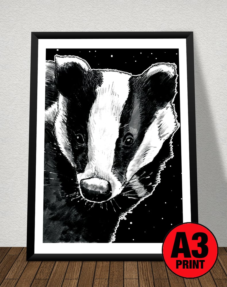 Image of Badger At Night Art Print Signed A3 Size (16" x 12")