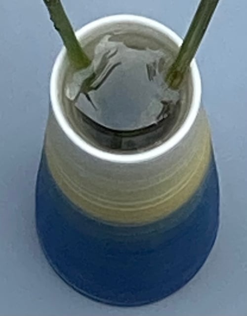 Image of BLUE AURORA STEM VASE