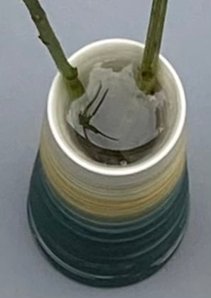 Image of GREEN AURORA STEM VASE