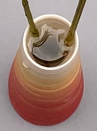 Image of RED AURORA STEM VASE