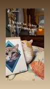 Pet Portrait (DIGITAL AND PHYSICAL OPTIONS)