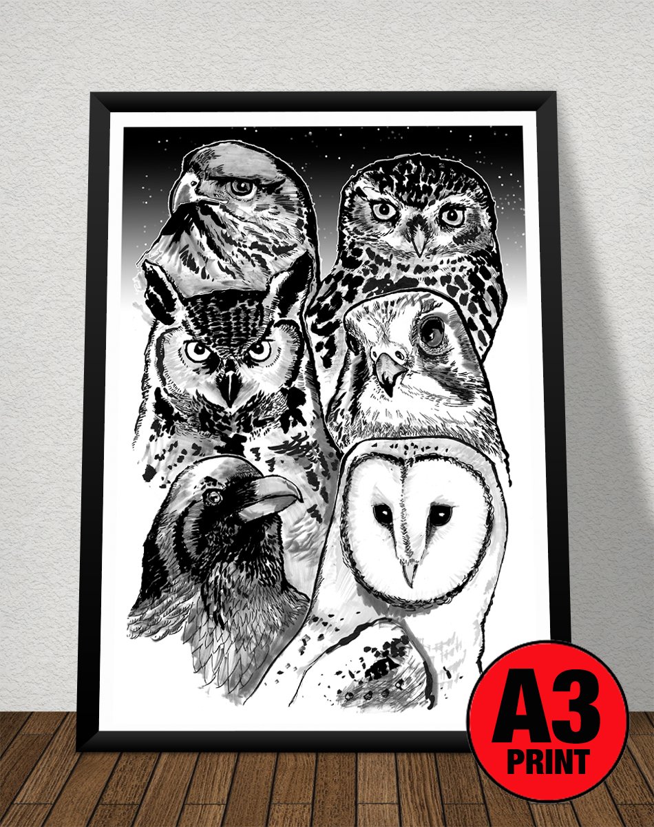 British Birds of Prey & Owls Identification A3 Poster, Art Print, Chart