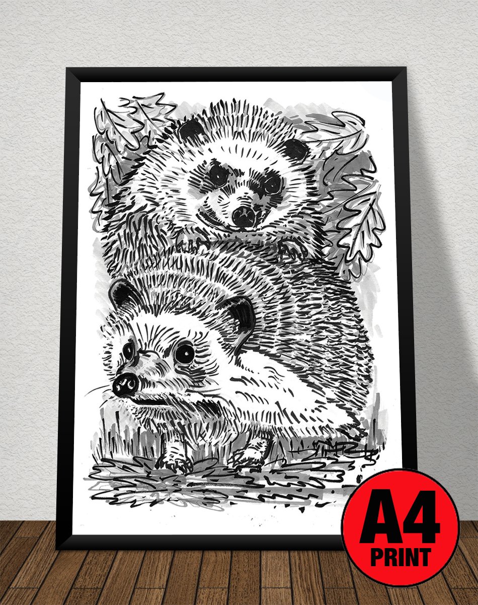 Image of Two Hedgehogs Art Print Signed A4 Size (12" x 8")