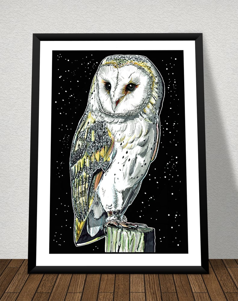 Image of Owl In Repose (NIght) Art Print Signed A3 Size (16" x 12")