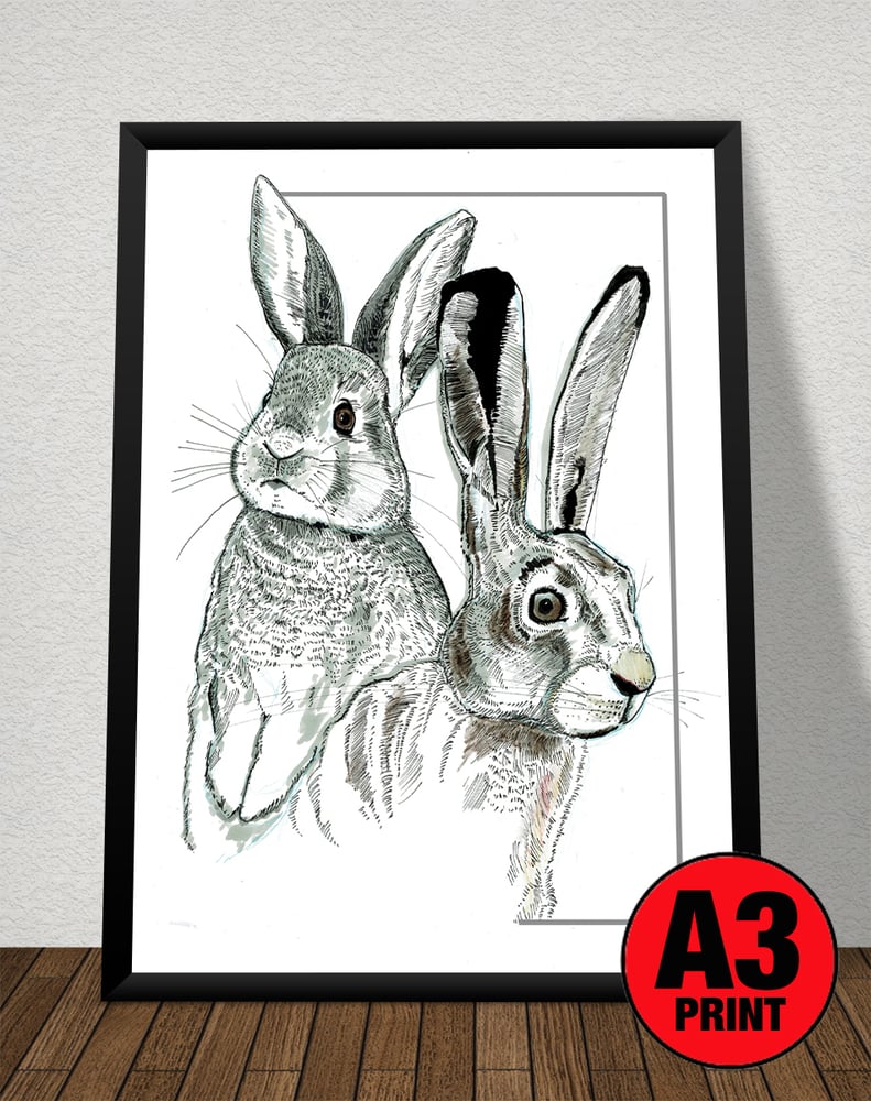 Image of Hare & Rabbit Art Print Signed A3 Size (16" x 12")