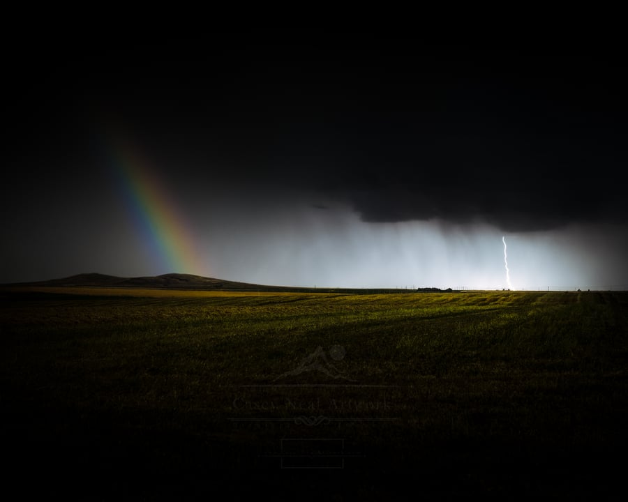 Image of Moonbow Lightning
