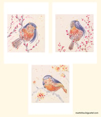 Little Birds | 3-Pack 5 x 7" Prints