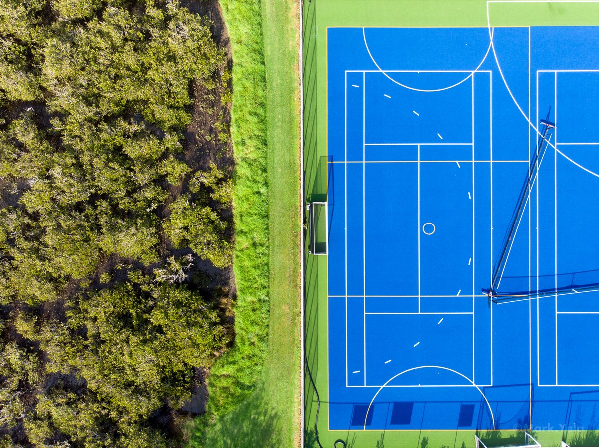 Image of Blue Courts V Nature