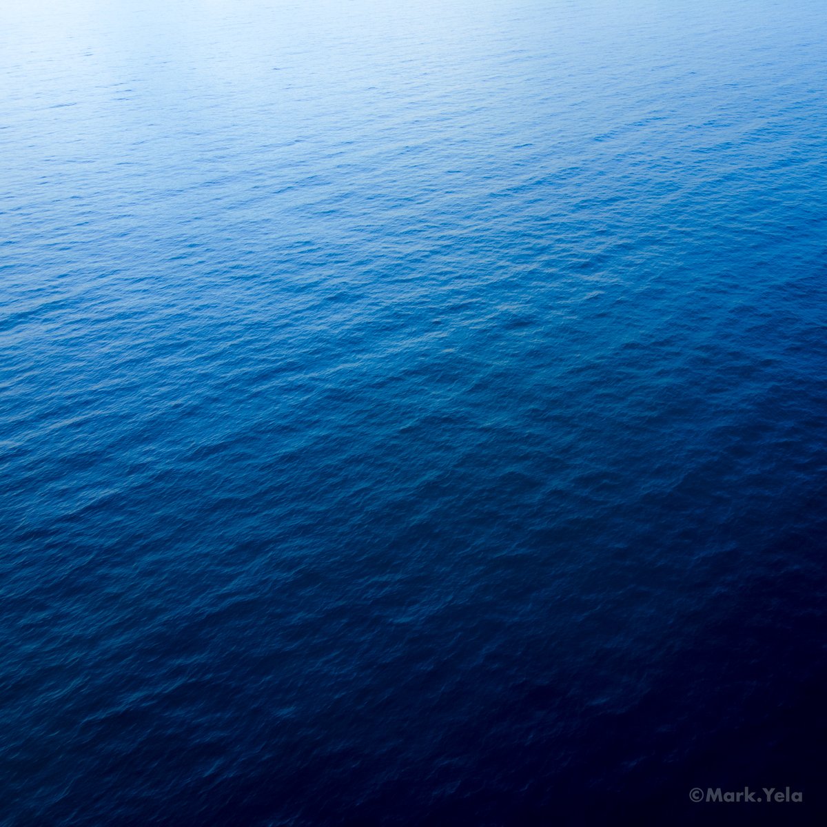 Image of Into the Blue