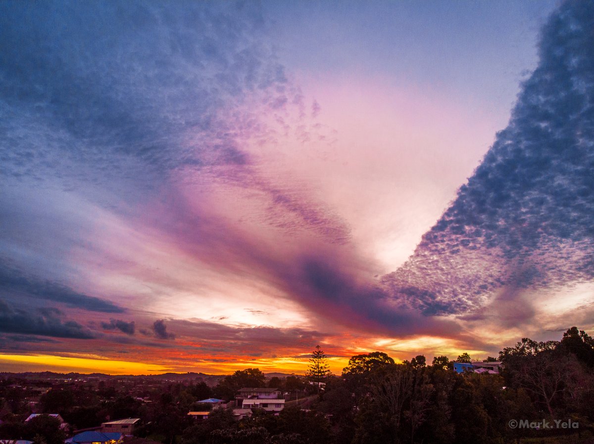 Image of Bird Sunset