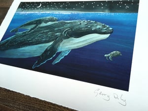 Finn's First Song - large print
