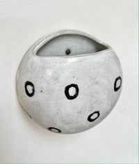 Image 1 of Spotted Wall planter