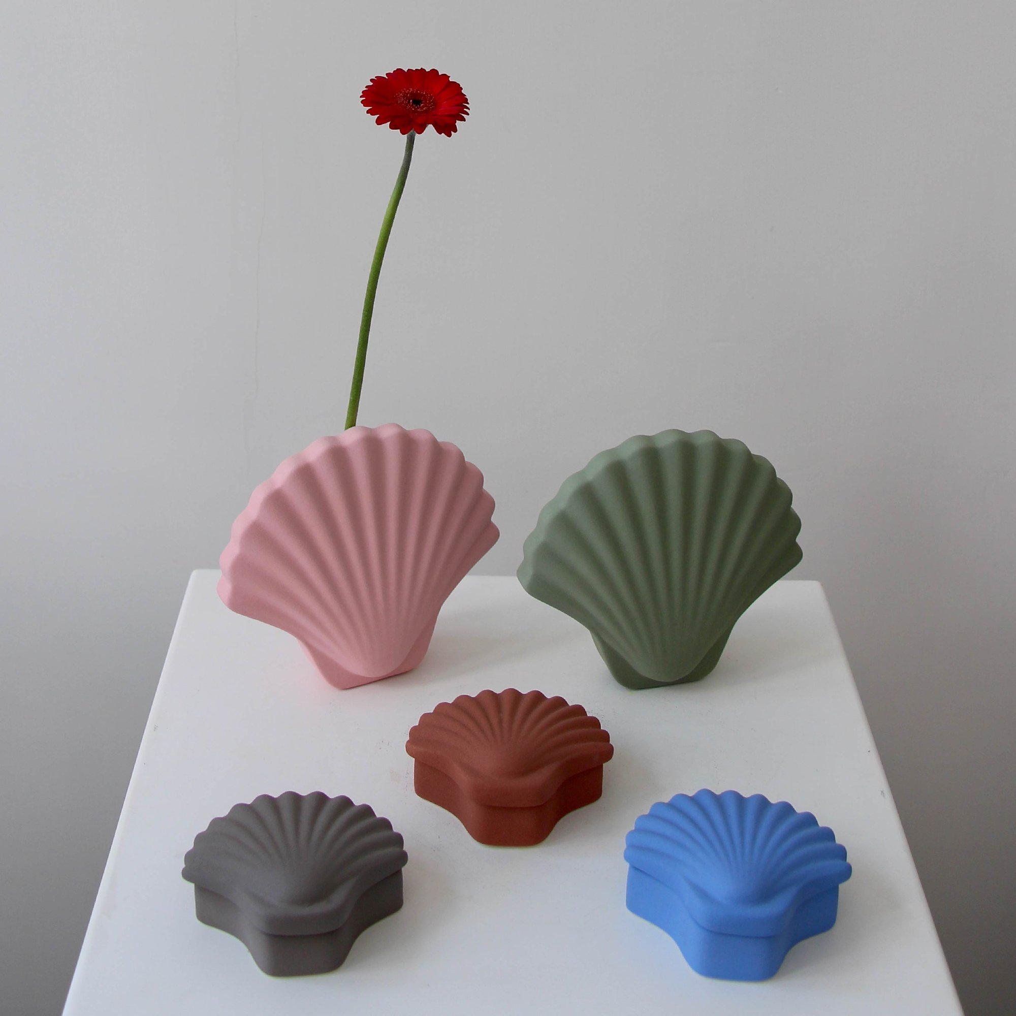 Seashell Vase and Box by Los Objetos Decorativos