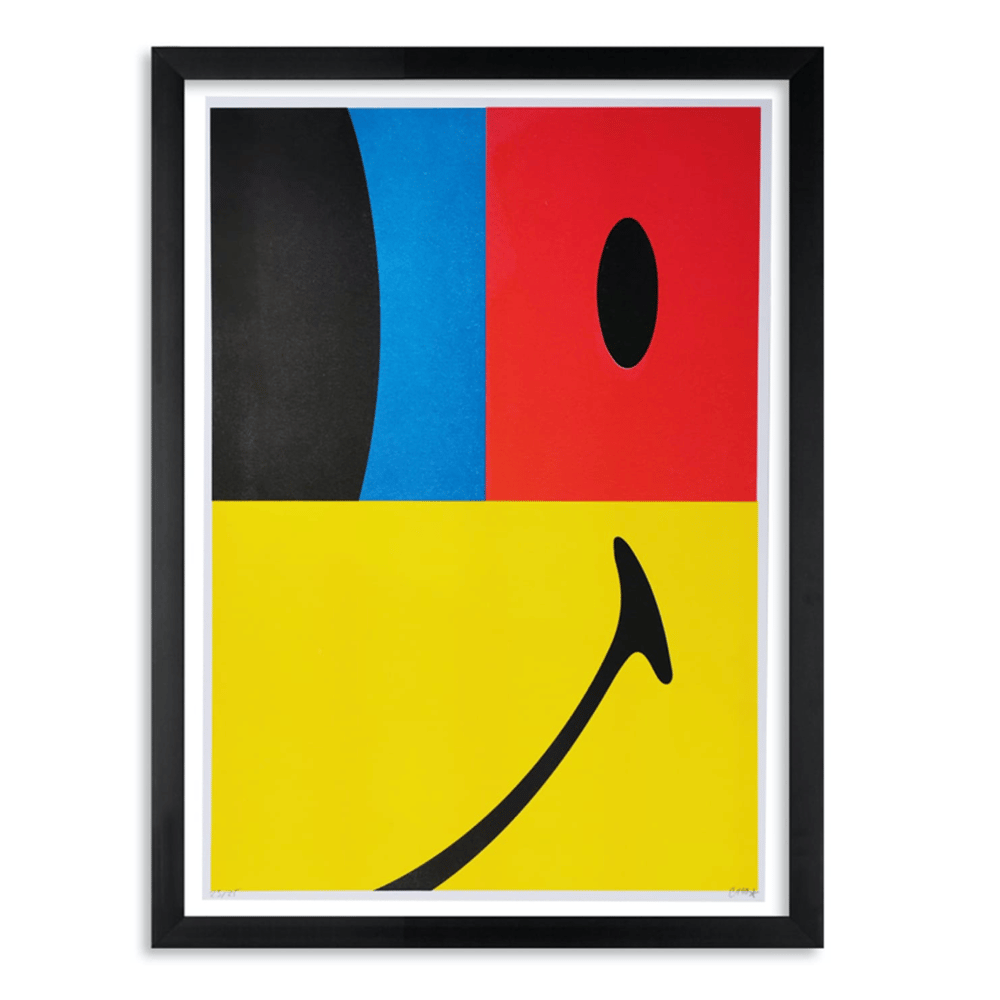 Image of Deconstructed Smiley
