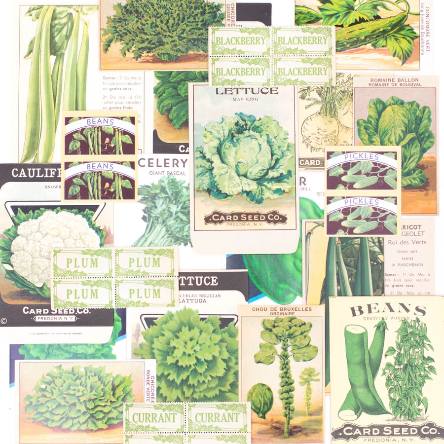 Image of Green Fruit & Vegetable Ephemera Collection