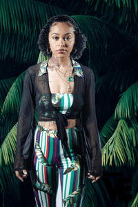 Image 2 of Tropics Set