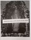I WANT TO FEEL ALIVE AGAIN AT ALL COSTS (Zine)
