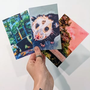 Set of All Six Postcards 