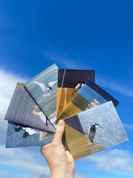 Image of Set of 6 Bird Cards