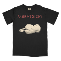 Image 1 of A Ghost Story SS (black)