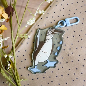 blue footed booby keychain