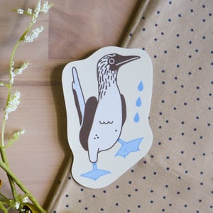 Blue-footed Booby Sticker