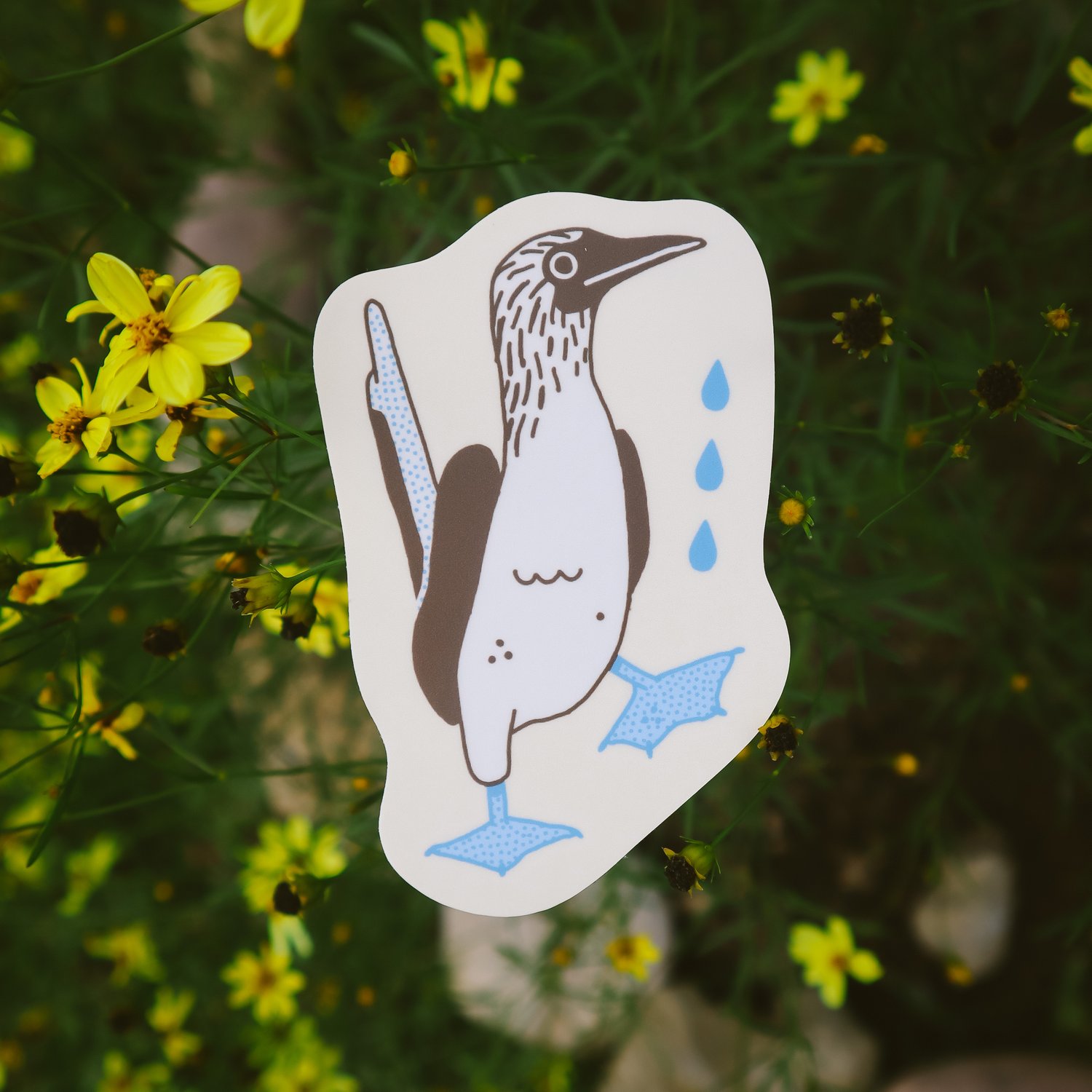 blue footed booby sticker