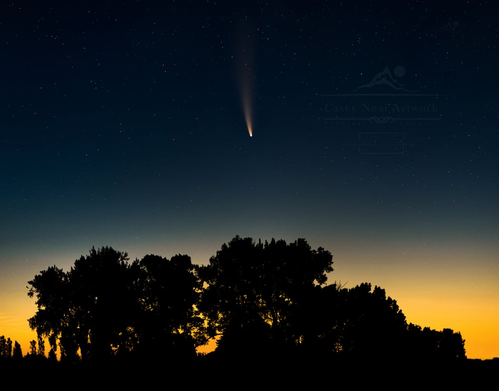 Image of Comet Neowise