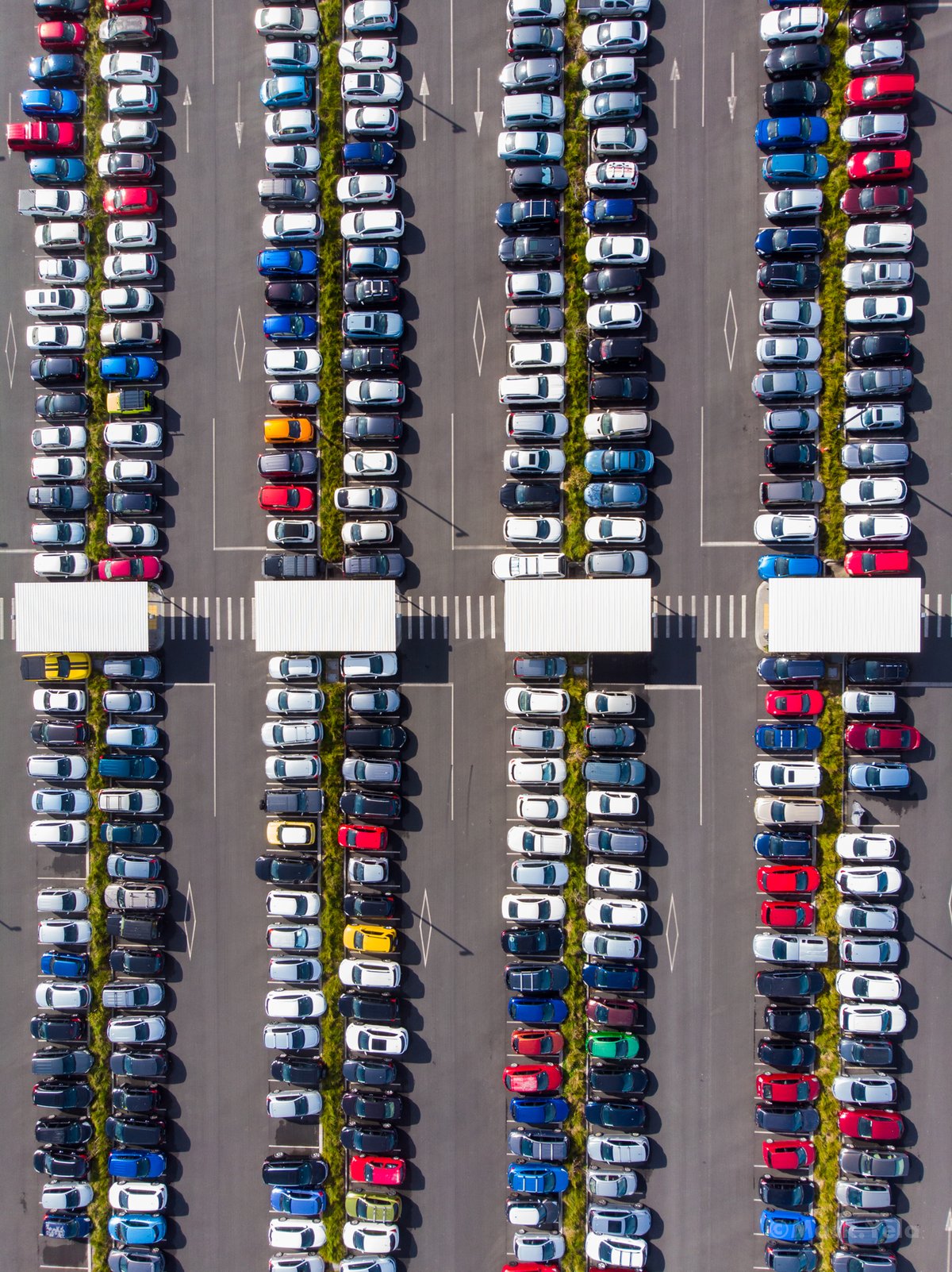 Image of At the Car Park