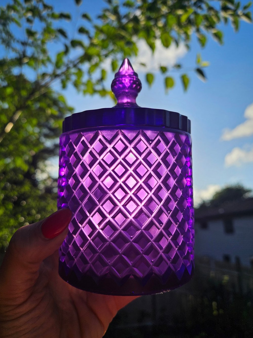 Image of Purple Lattice Jar 2