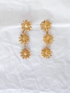 Pendientes Amapola garden