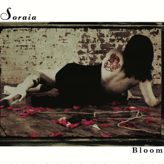 Image of Bloom album CD (2022)