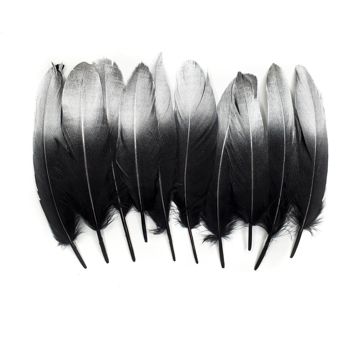 Black Ostrich Feathers, 10 Pieces, 6-8 Inches, Fall Halloween