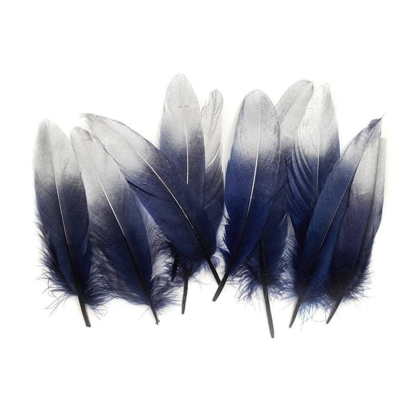Dark Blue Feathers