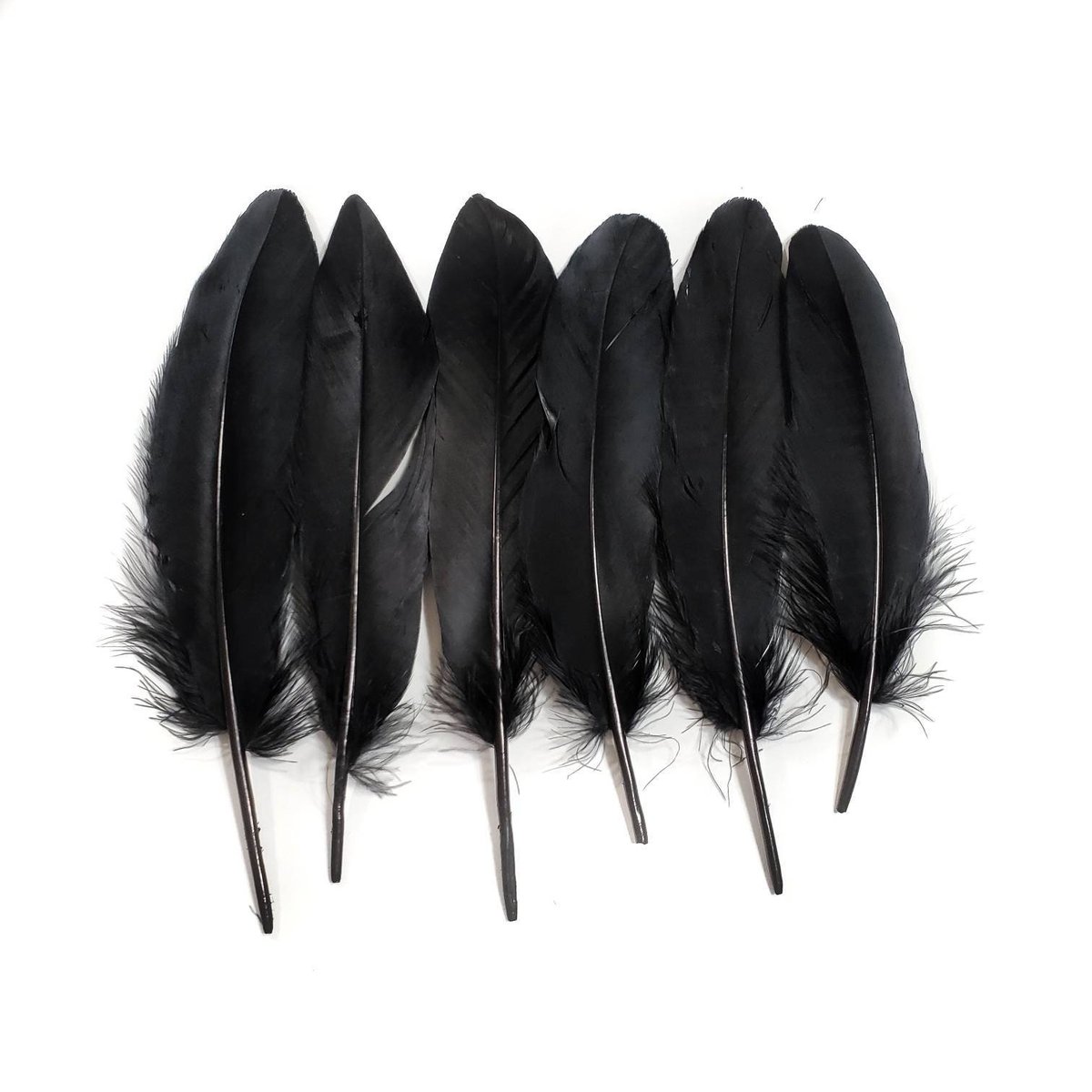 Black Goose Feathers, 10 Pieces, 5-9