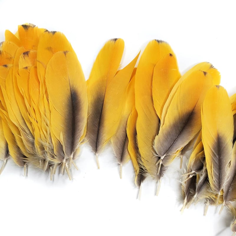 About 30cm Yellow Feathers Bird Plastic Foam & Feathers Spreading