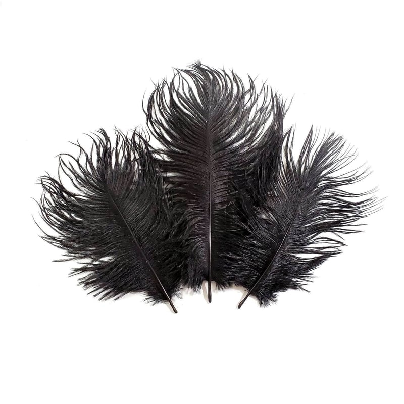 Black Ostrich Feathers, 10 Pieces, 6-8 Inches, Fall Halloween