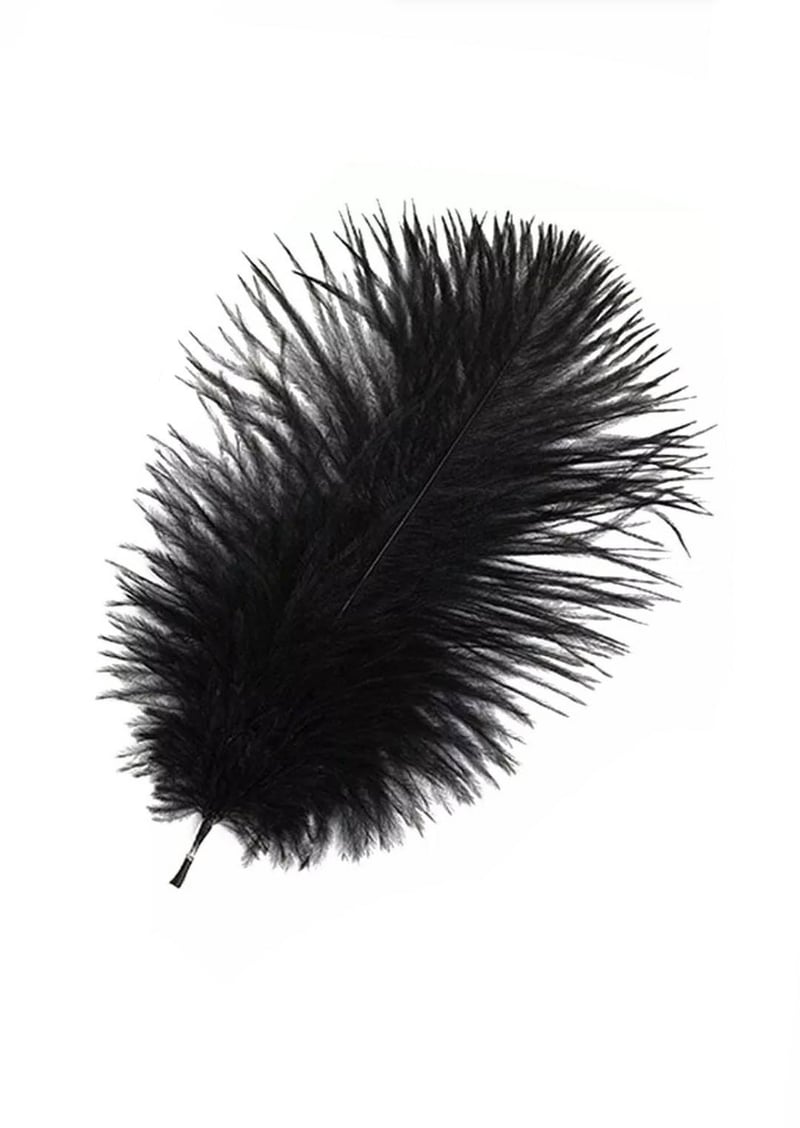 Black Ostrich Feathers, 10 Pieces, 6-8 Inches, Fall Halloween