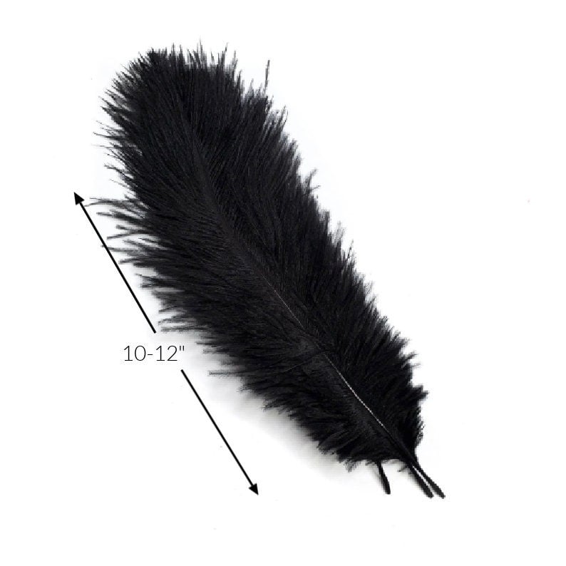 12 Black Quill Feather