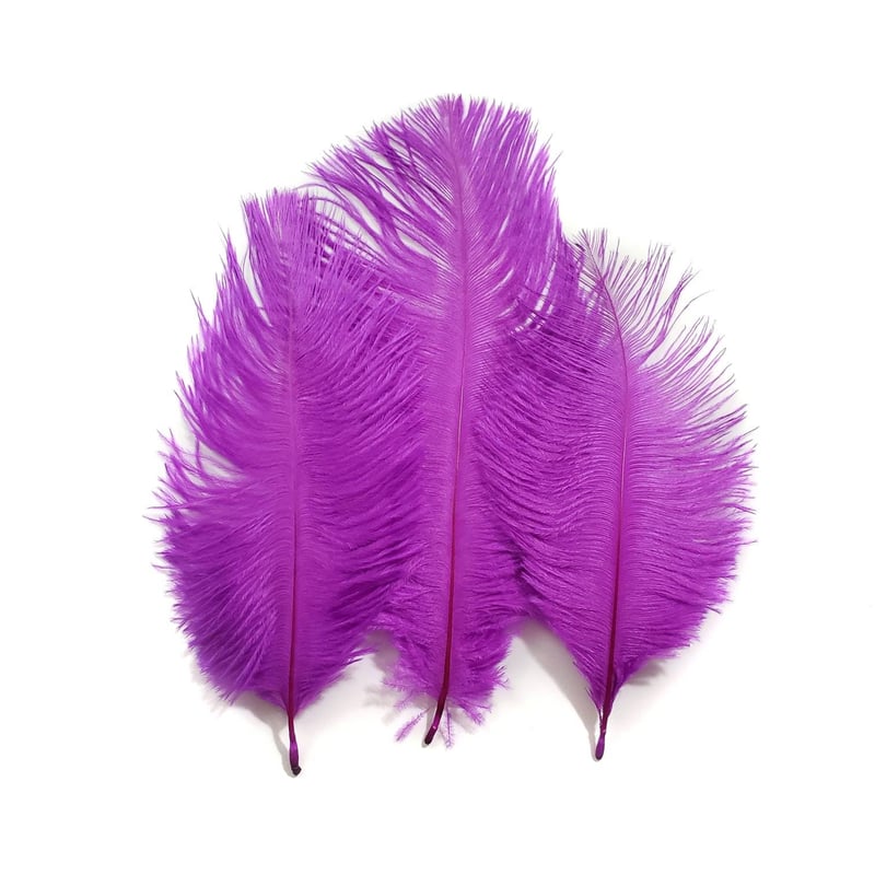 Purple Ostrich Feathers, 10 Pieces, 6-8 Inches, Fall Halloween