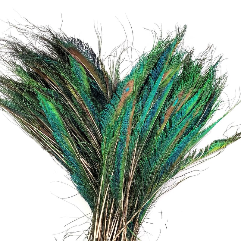 Natural Peacock Sword Feathers