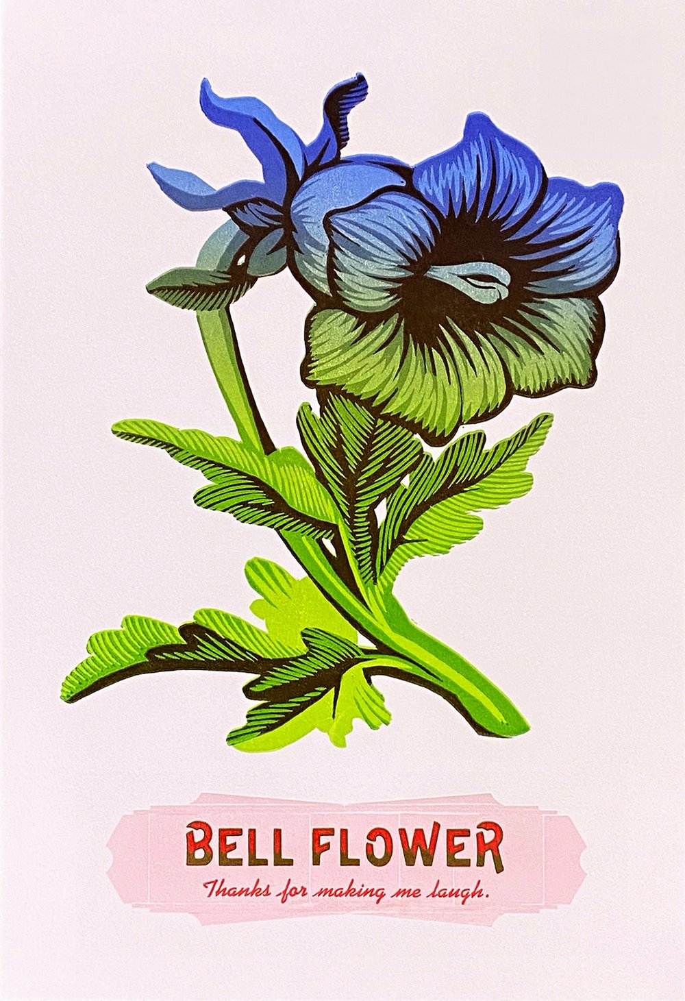 Image of Bell Flower