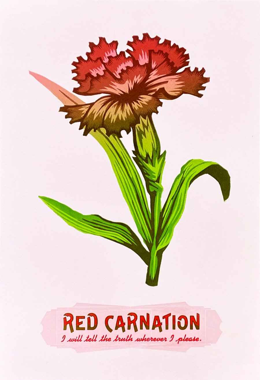 Image of Red Carnation