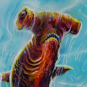 Hammerhead