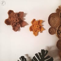 Image 1 of Wall Flower - Single