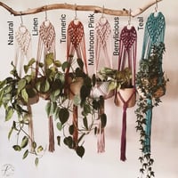 Image 2 of Aria Plant Hanger